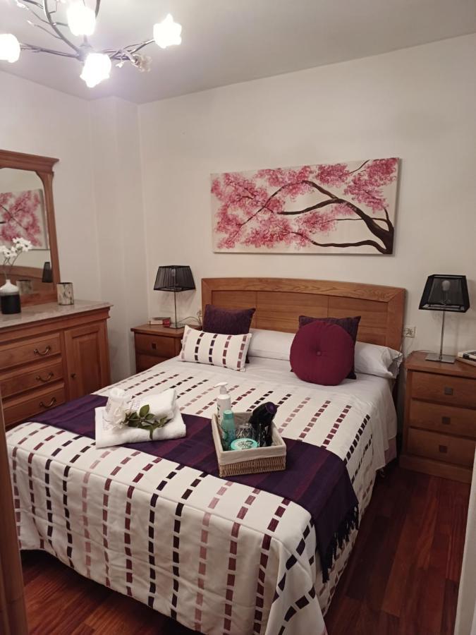 Apartamento Penedo, Camino Portugus-Con Plaza De Garaje Gratis Santiago de Compostela Zewnętrze zdjęcie